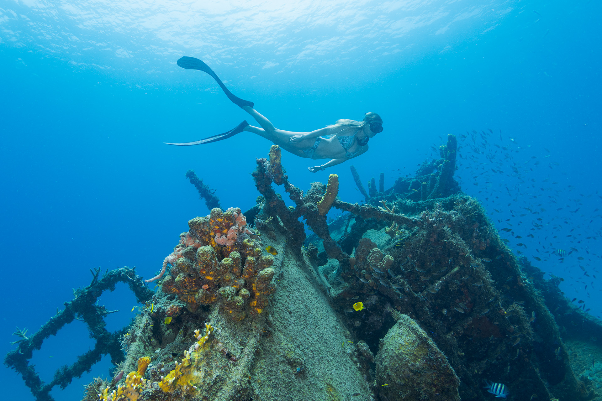 freediving barbados