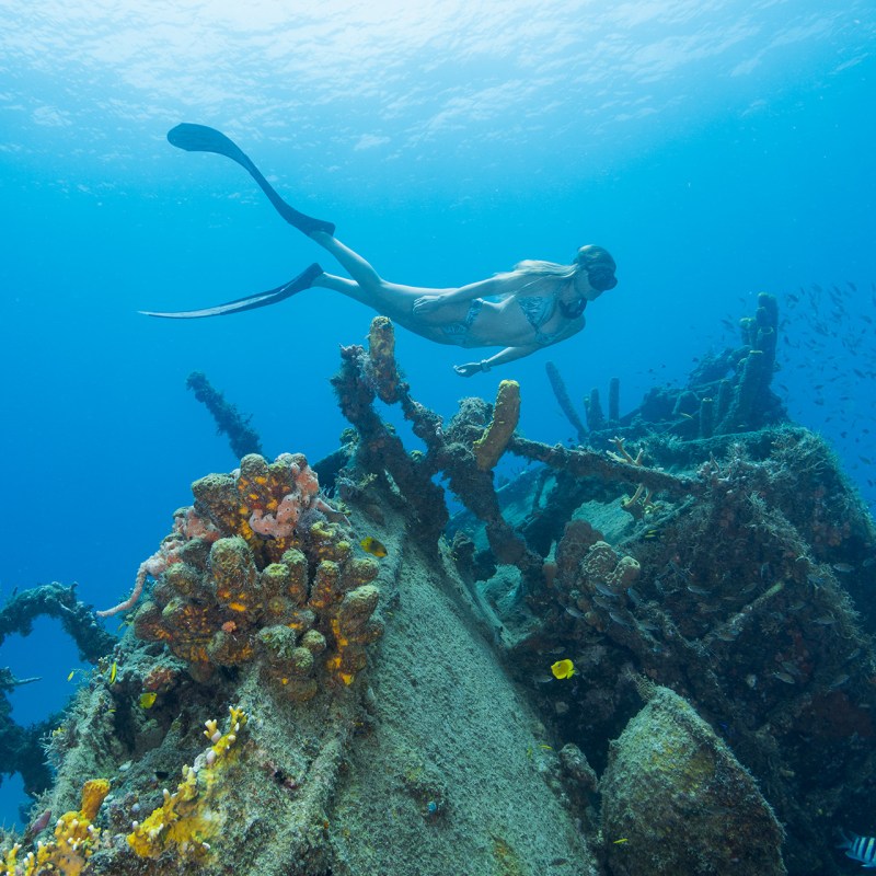 freediving barbados