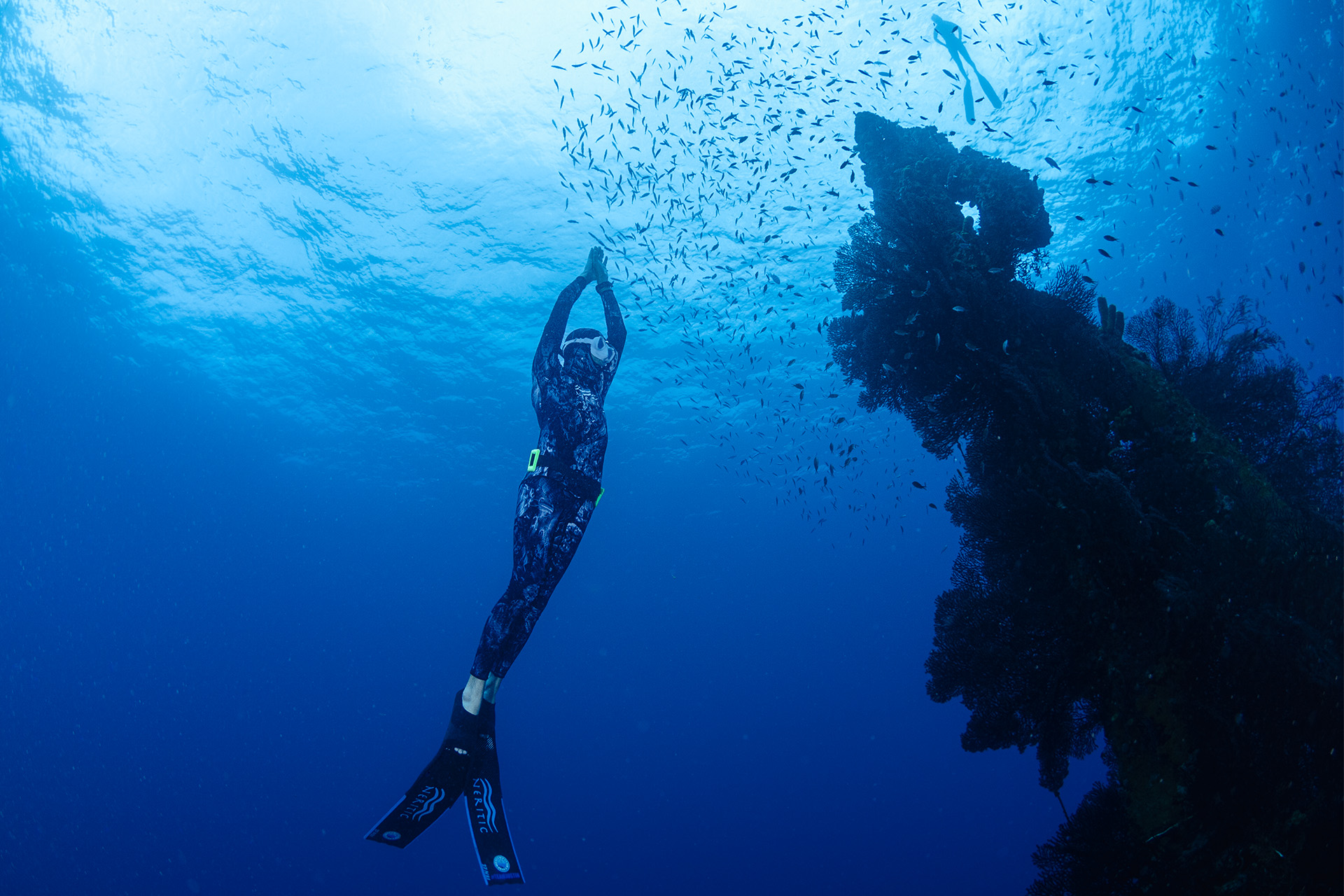 freediving barbados