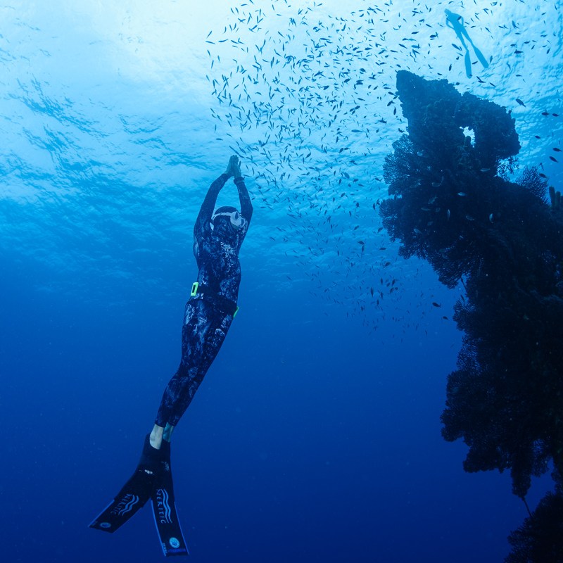freediving barbados