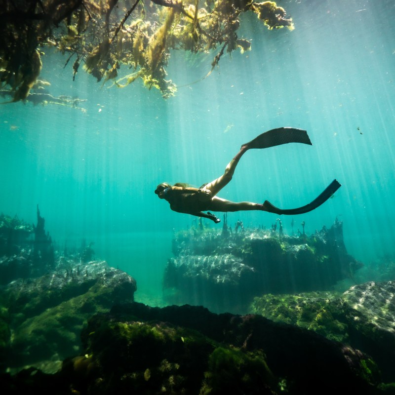 Underwater view of a diver swimming in clear blue water with sunlight beams and aquatic plants.