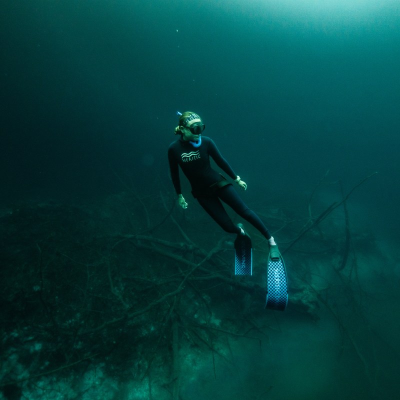 Diver in a wetsuit with blue fins swims underwater near branches.