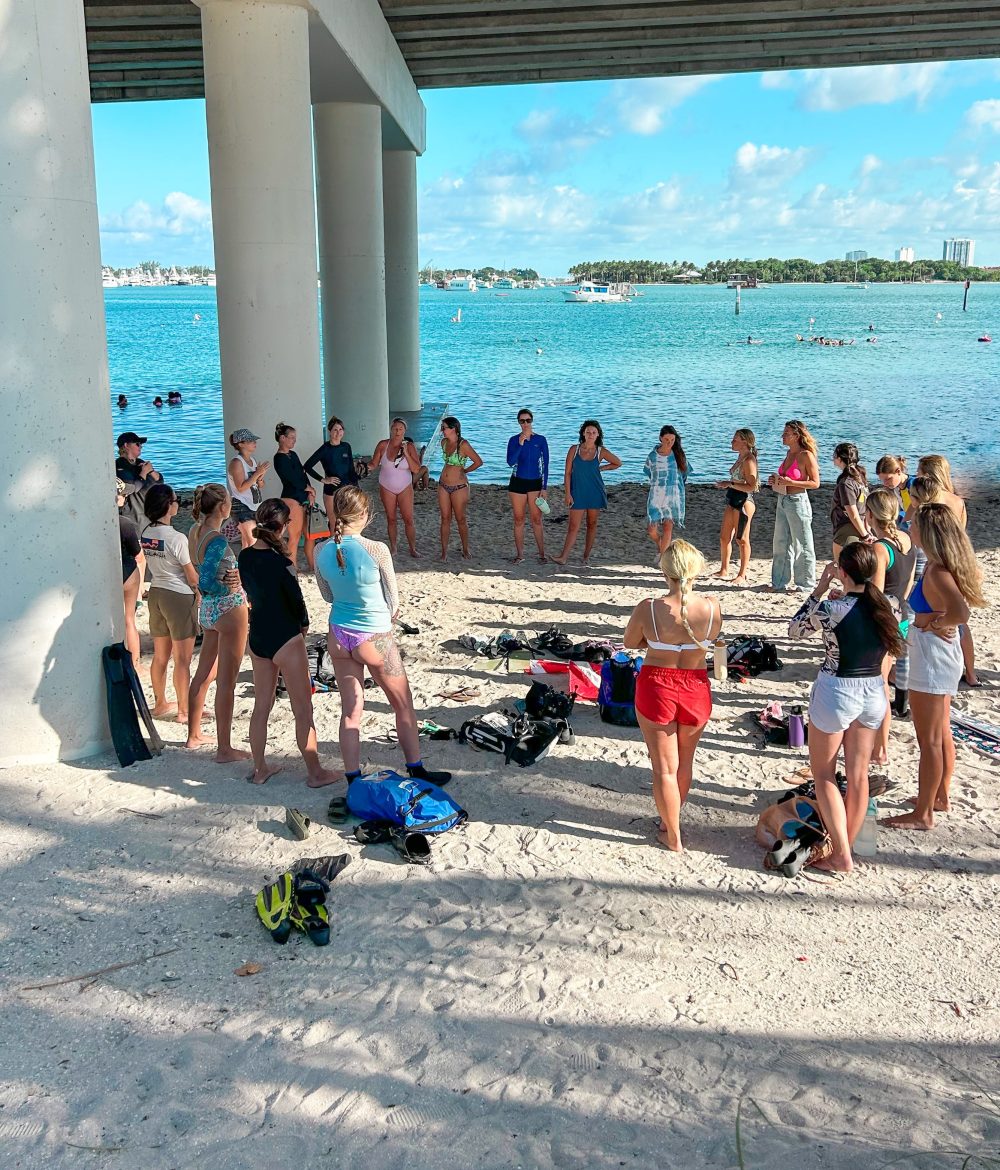 People gather on a beach under a bridge near a body of water on a sunny day.