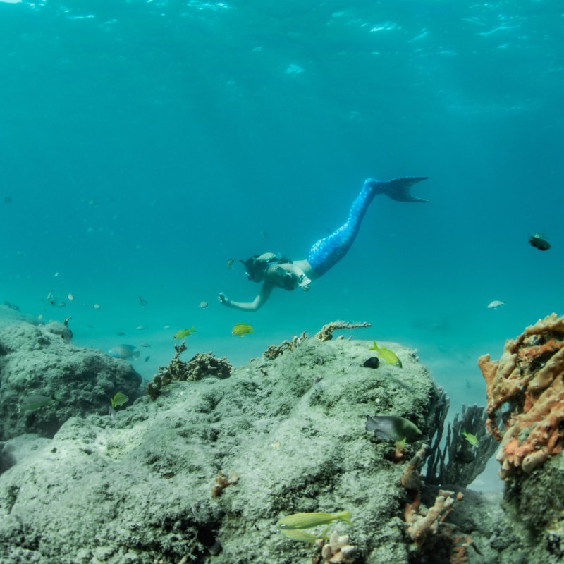 underwater view of a large rock