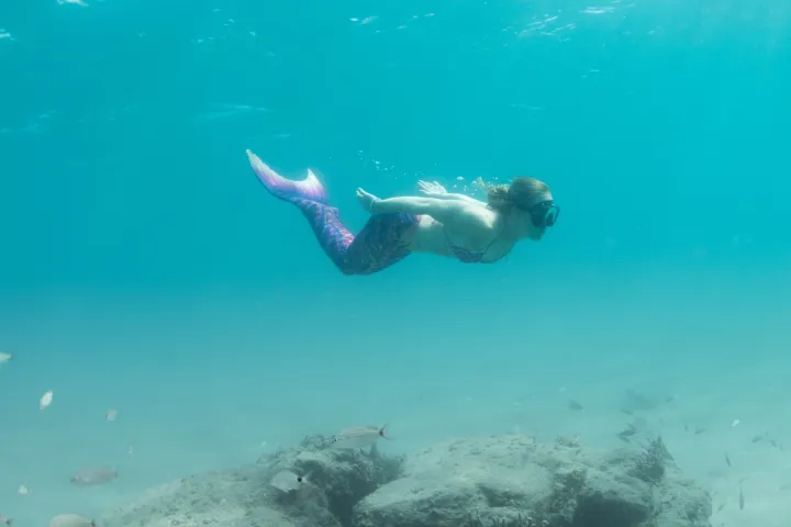 a bird swimming in water