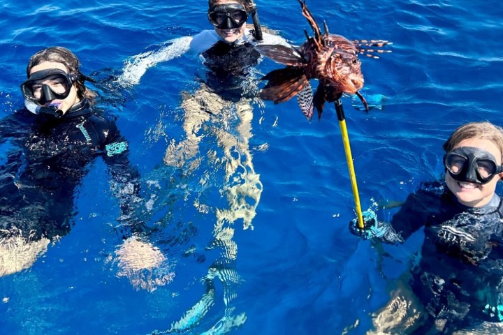 a group of people swimming in a body of water