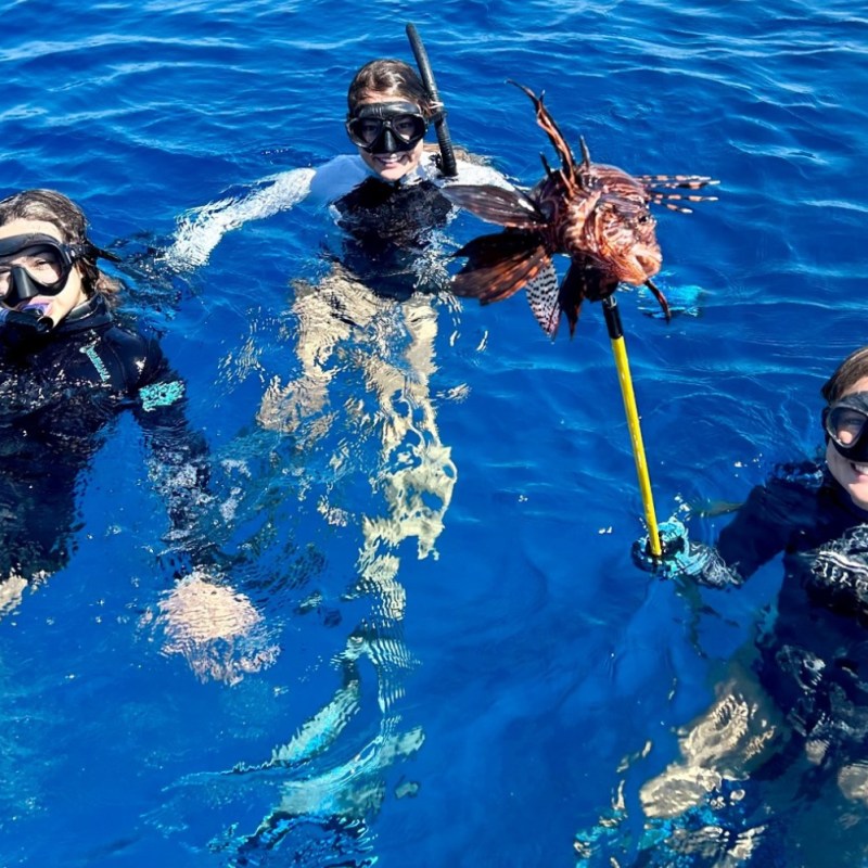 a group of people swimming in a body of water