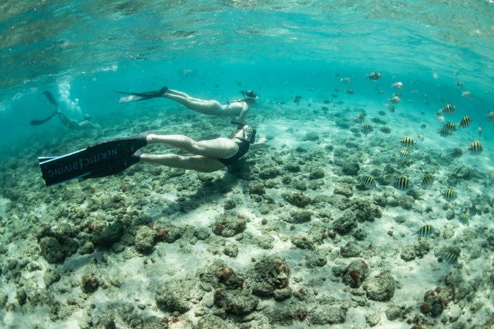 a man swimming in the water