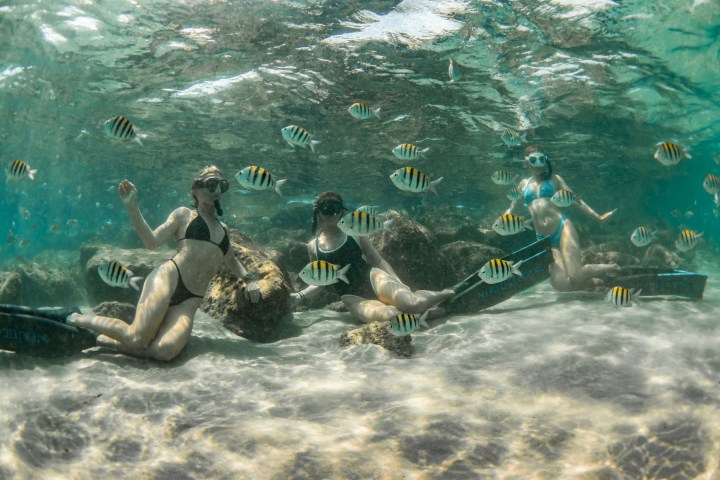 a group of people in the water