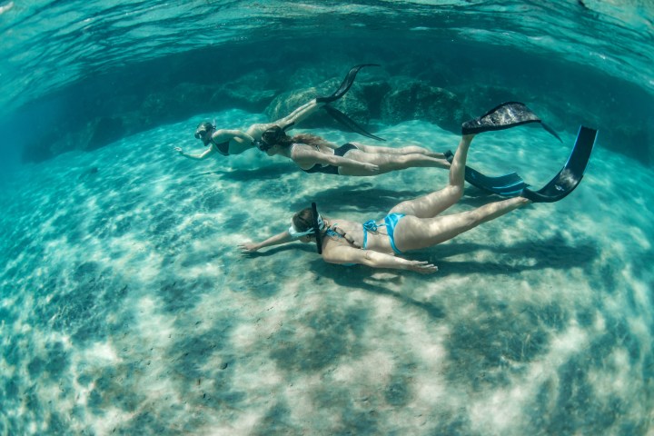 a person swimming in a body of water