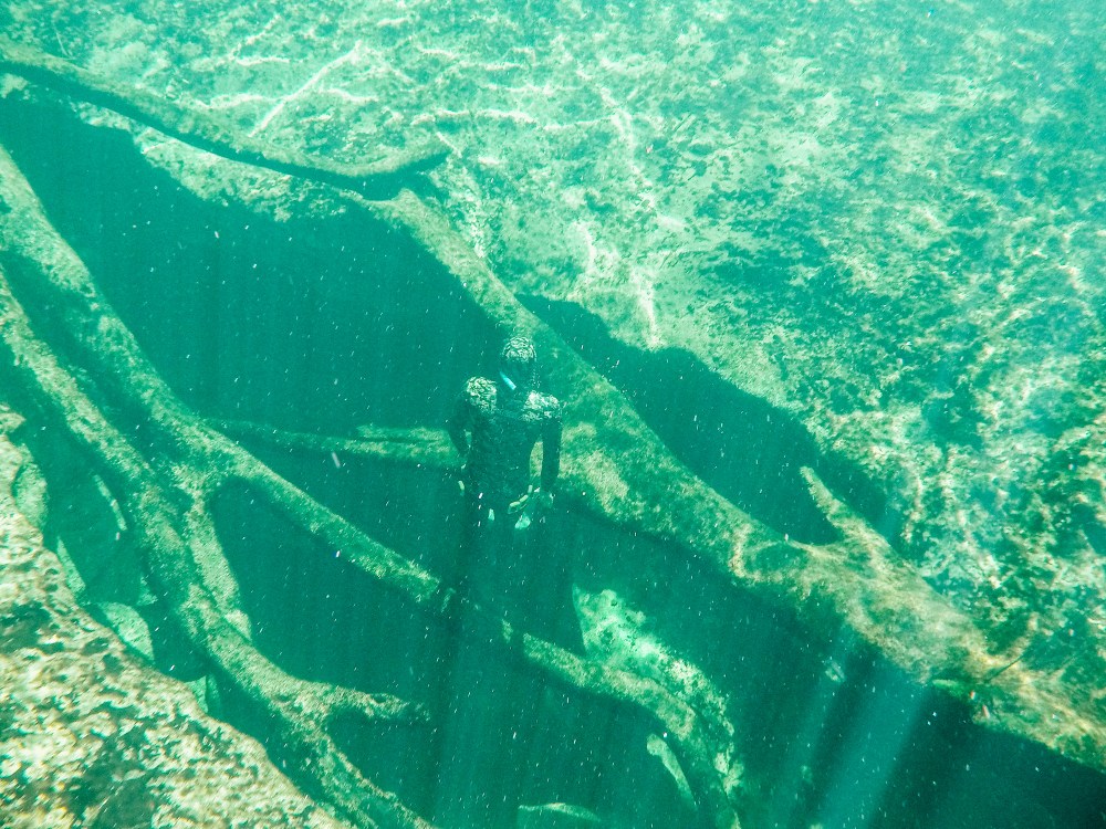 Person in diving suit underwater near large tree roots.