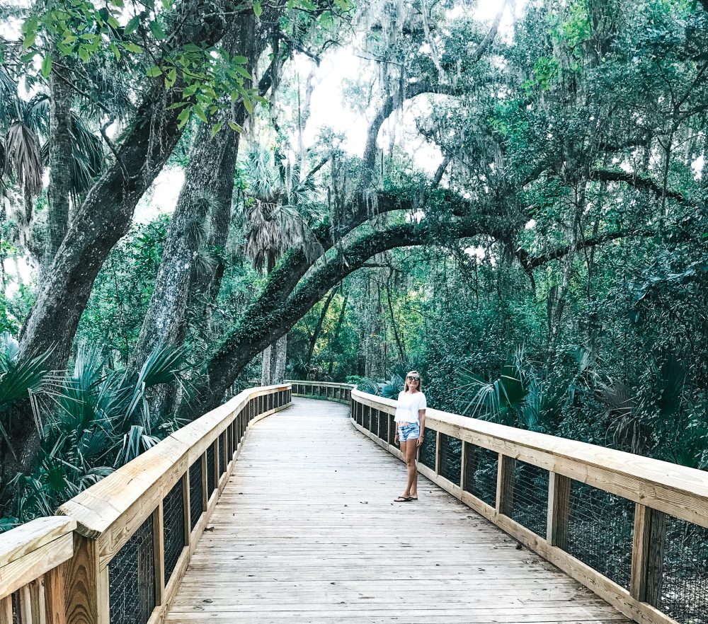 Woman standing on a wooden boardwalk surrounded by lush green trees.