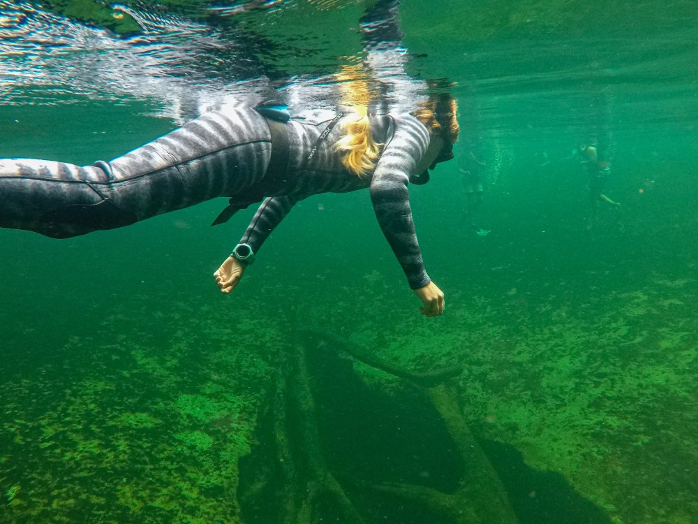 Person snorkeling underwater in a wetsuit, swimming over a submerged tree.