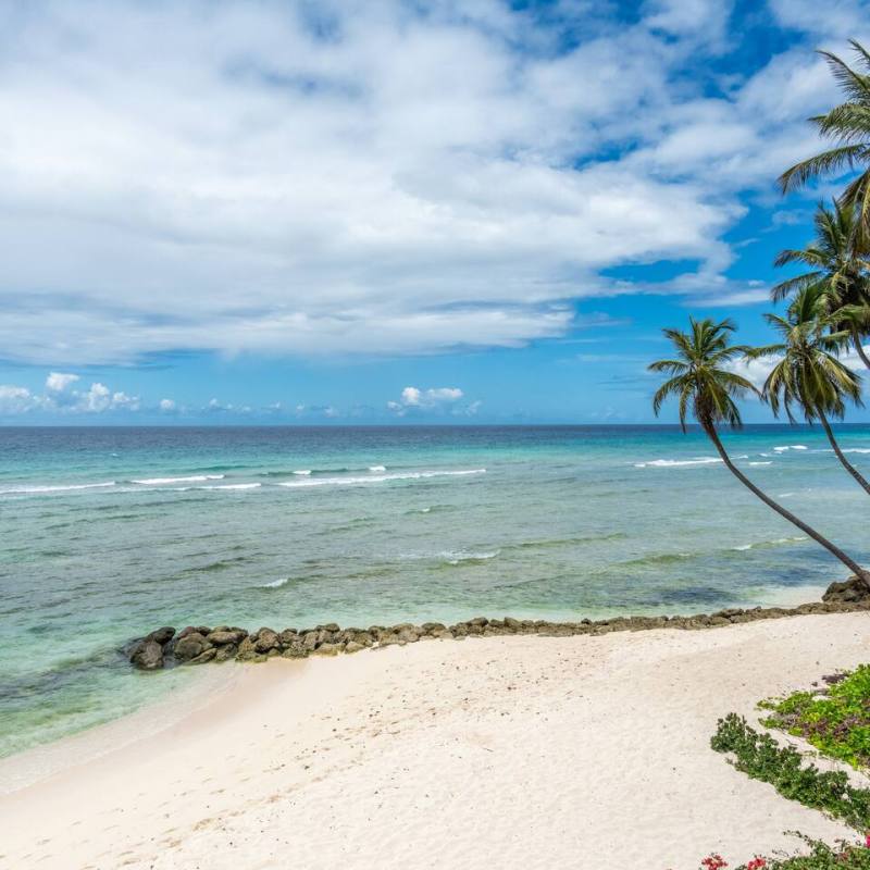 Tropical beach with palm trees, white sand, and clear blue sea under a partly cloudy sky.