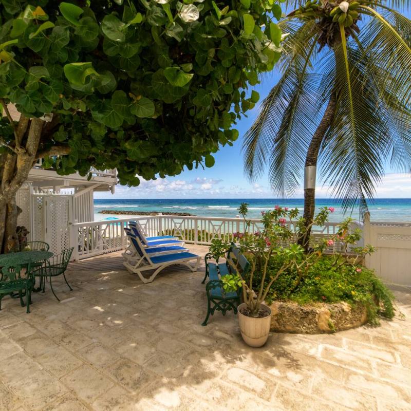 Beachside patio with lounge chairs, palm tree, and ocean view.