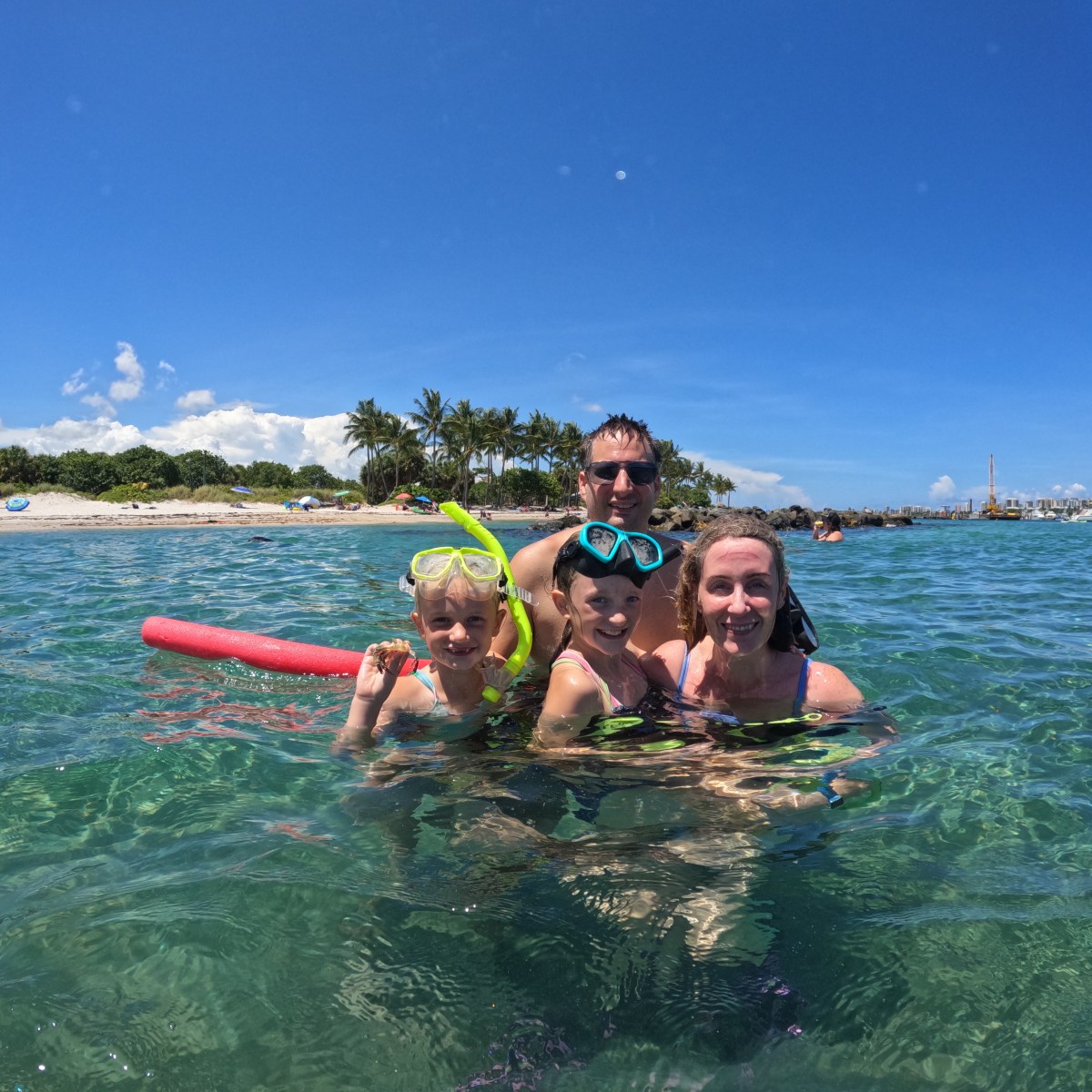 Family of four snorkeling in clear blue water near a beach under a sunny sky.