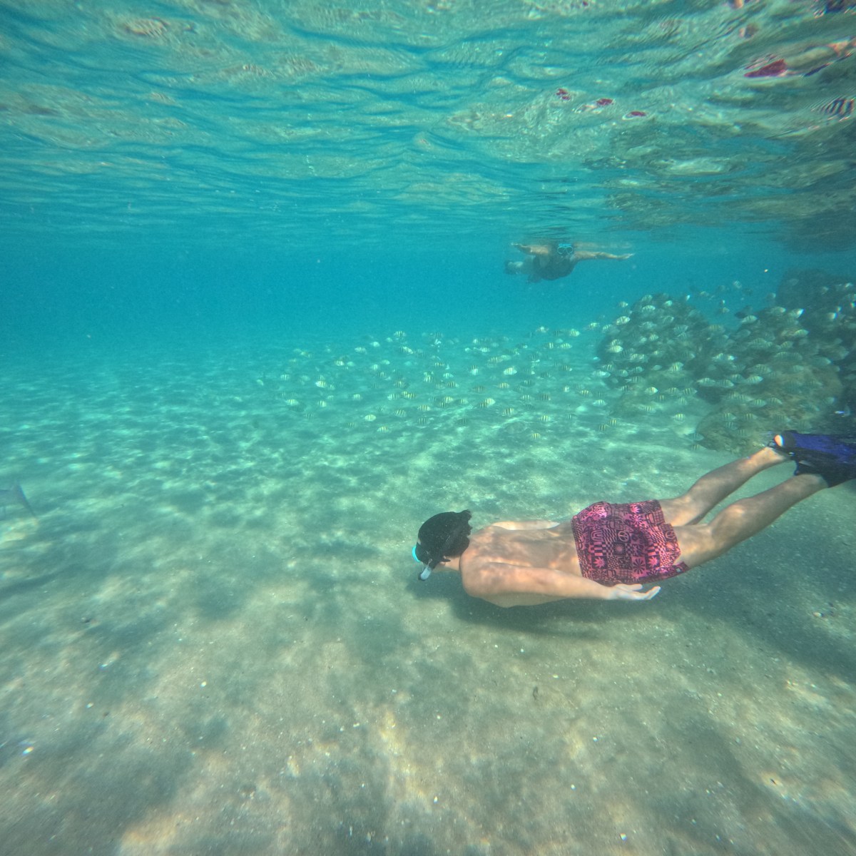 Person snorkeling underwater near rocks with fish nearby.