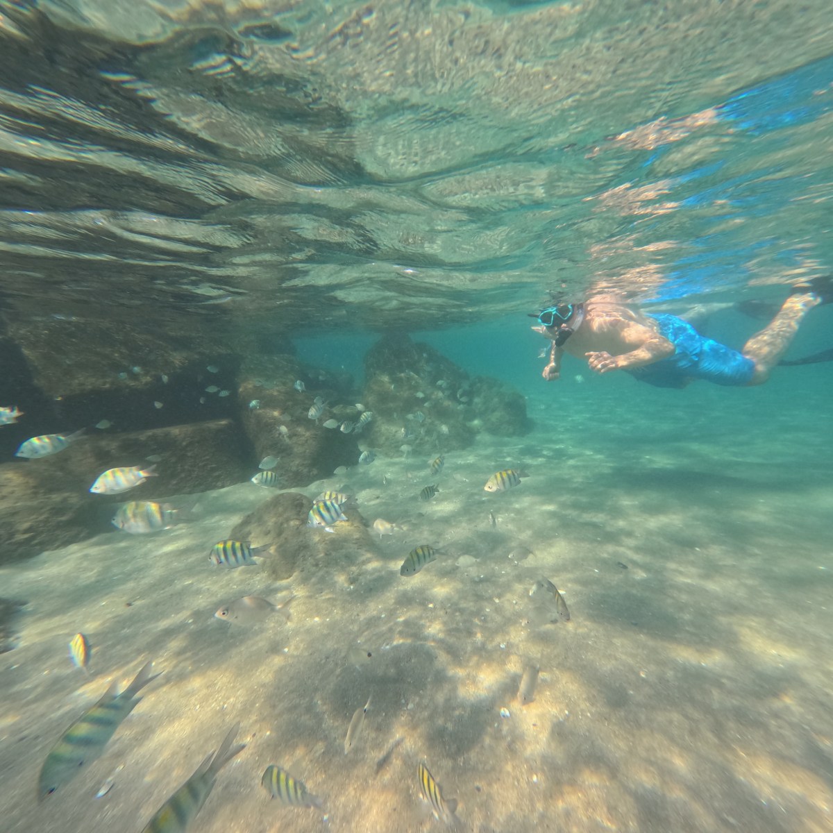 Person snorkeling underwater with rocks and colorful fish nearby.