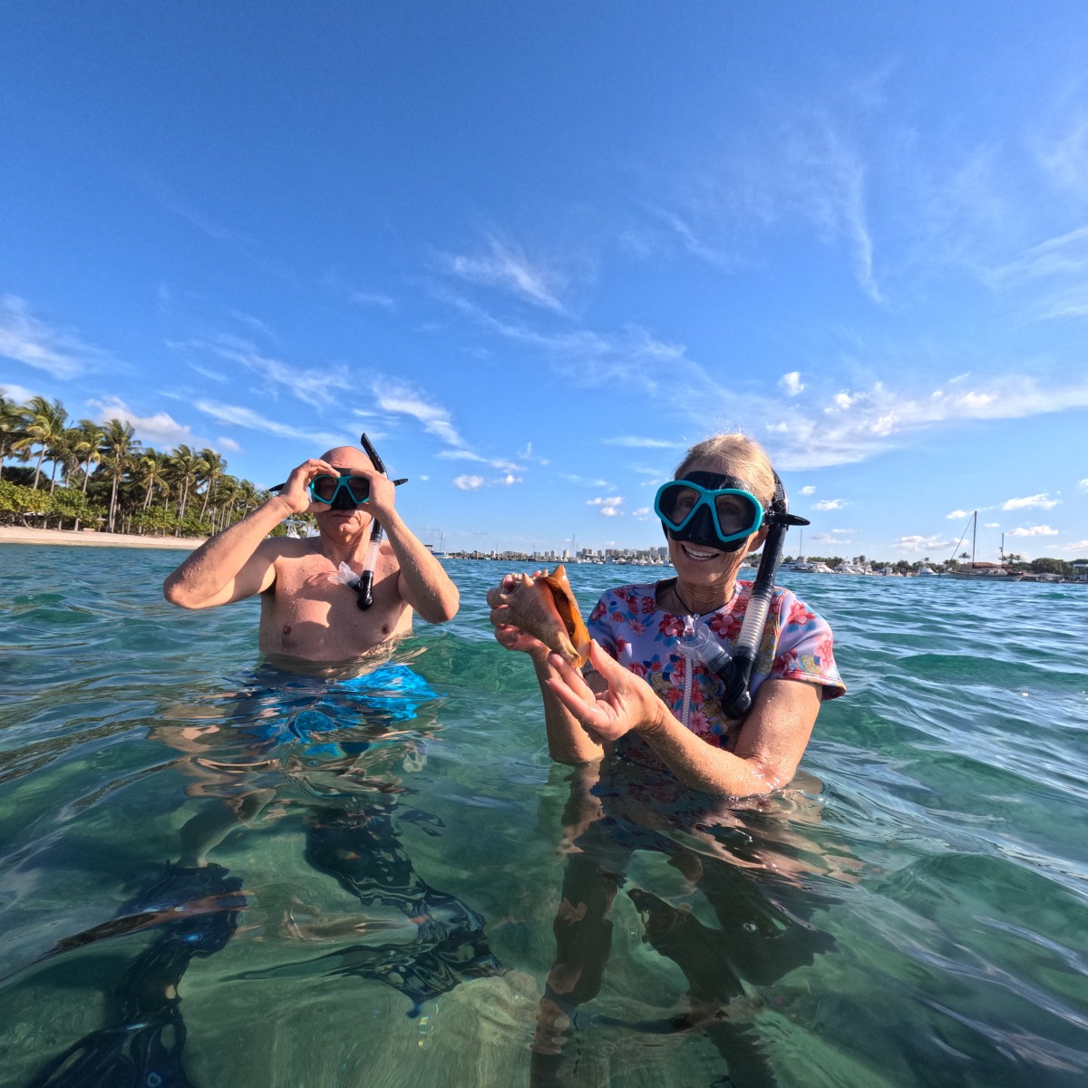 Two snorkelers in the ocean; one holds a seashell, with palm trees and boats in the background.