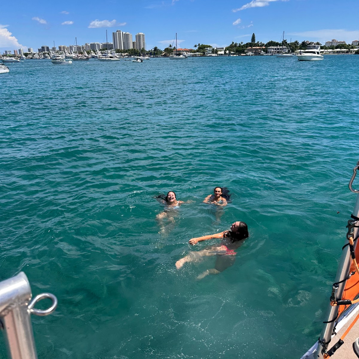Three people swimming in a sunny, urban harbor near boats and buildings.