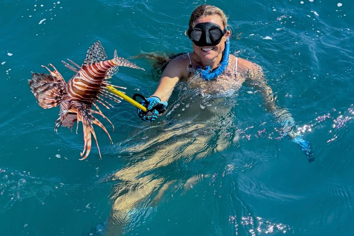 ethical spearfishing
