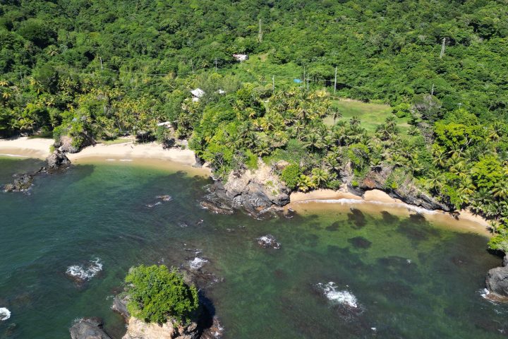 Aerial view of a lush green coastline with small beaches and rocks in the water.