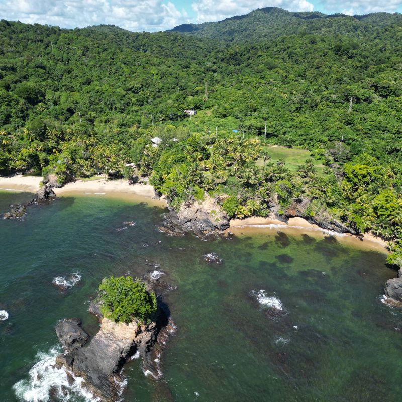Aerial view of a lush green coastline with small beaches and rocks in the water.