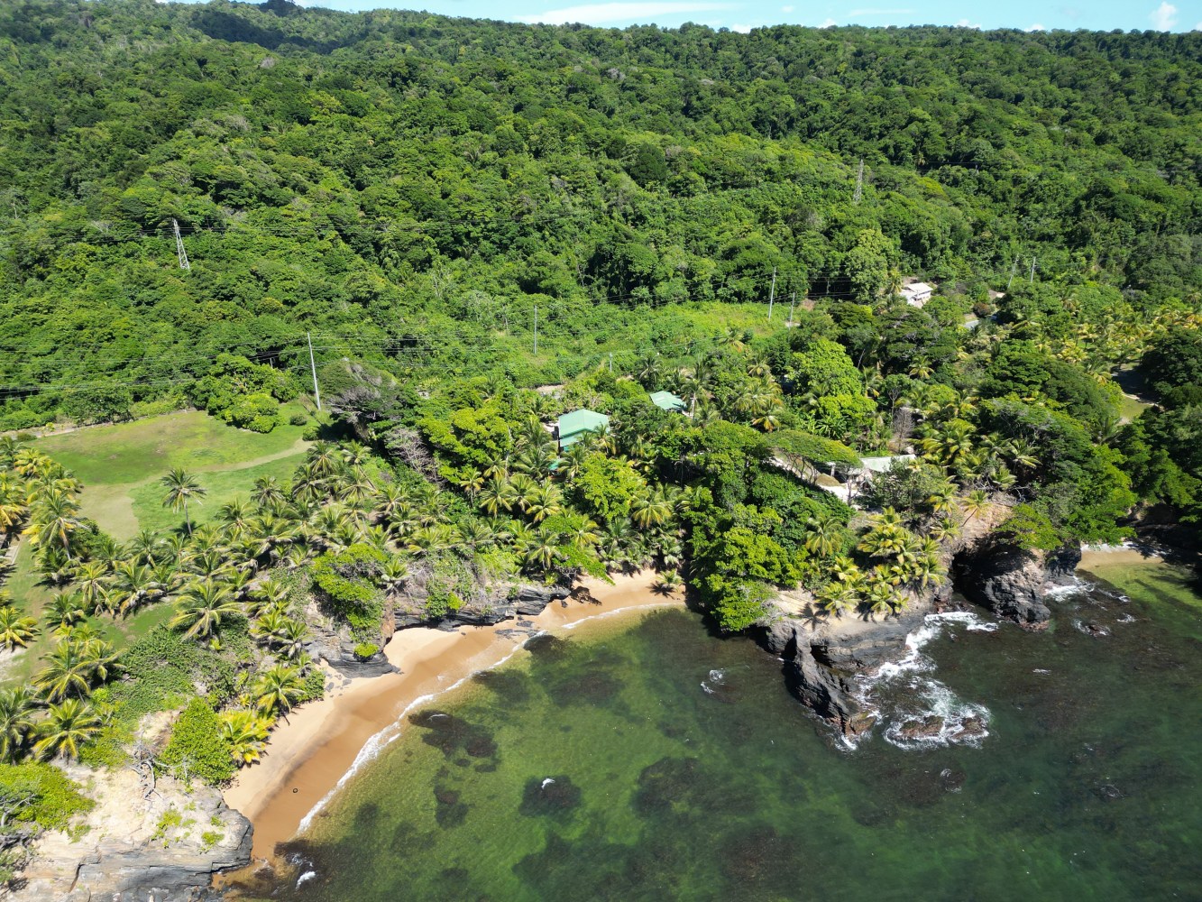 Aerial view of tropical coastline with lush forest and sandy beach.