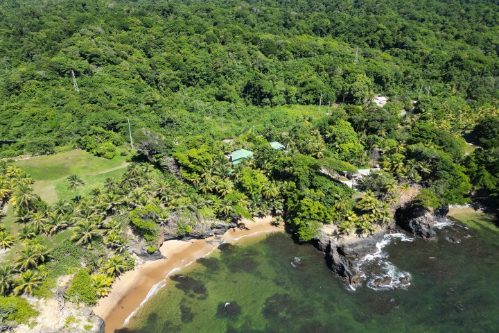 Aerial view of tropical coastline with lush forest and sandy beach.