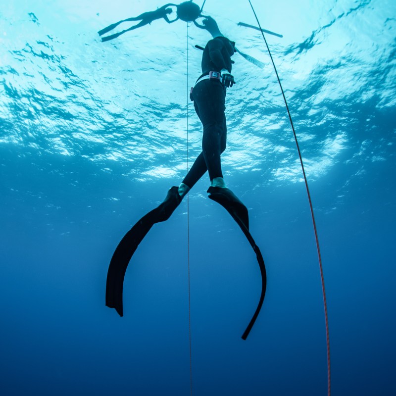 Freediver underwater with fins, holding a rope, mirrored by surface reflection.