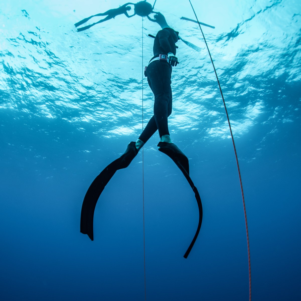 Freediver underwater with fins, holding a rope, mirrored by surface reflection.
