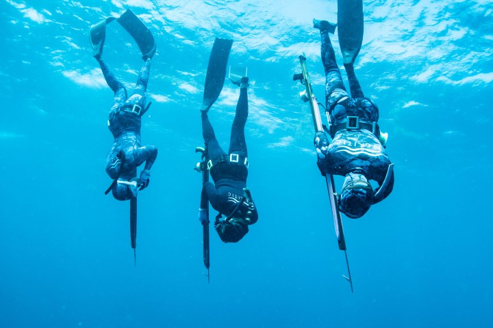 Three divers in wetsuits underwater with spears, swimming downward.