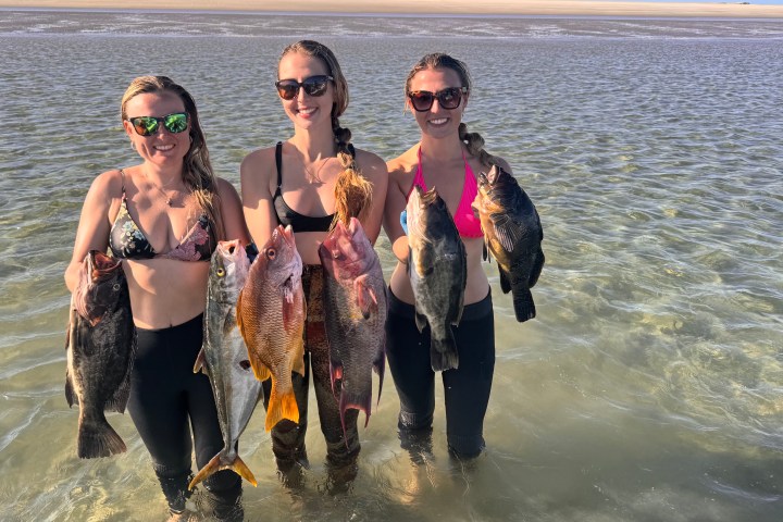 Three people standing in shallow water holding various fish.