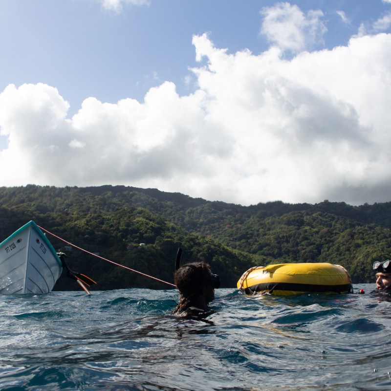 Two divers in water near a partially submerged boat, with a forested hill in the background.