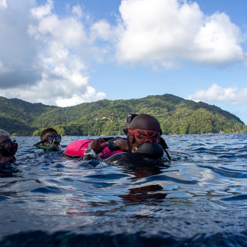 Group of snorkelers in the ocean near a lush, hilly coastline.