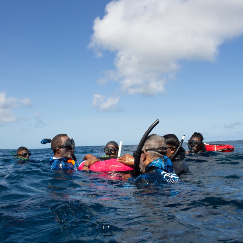 Group of snorkelers floating in the ocean under a clear sky.