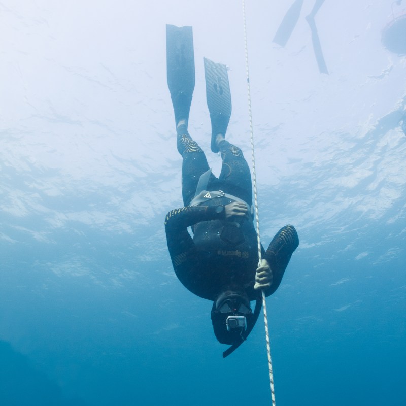 A diver underwater holds a rope in a deep blue sea.