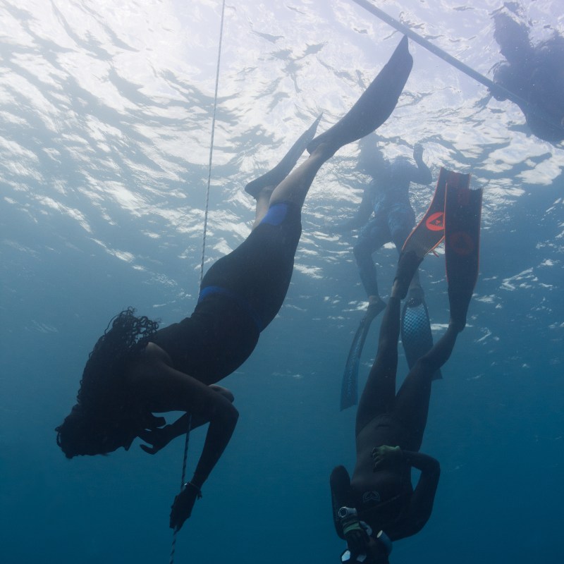 Two divers underwater near a rope and buoy, with clear blue water above.