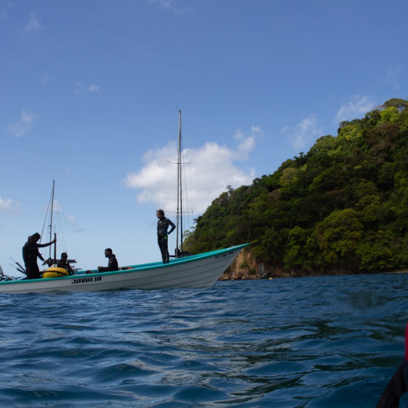 People on a small boat near a lush green island, with a clear blue sky.