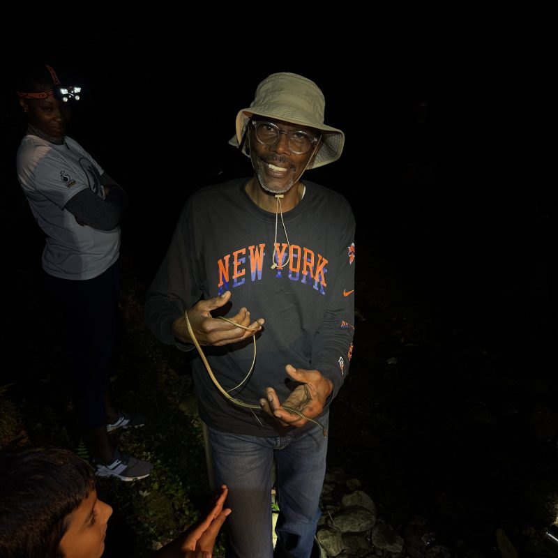 Person in hat holds a snake at night, wearing a New York shirt.