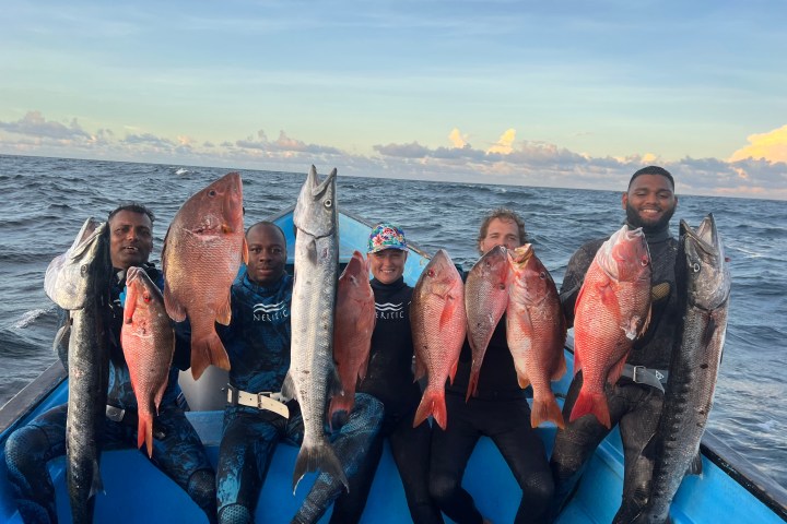 Five people in wetsuits on a boat holding large fish.