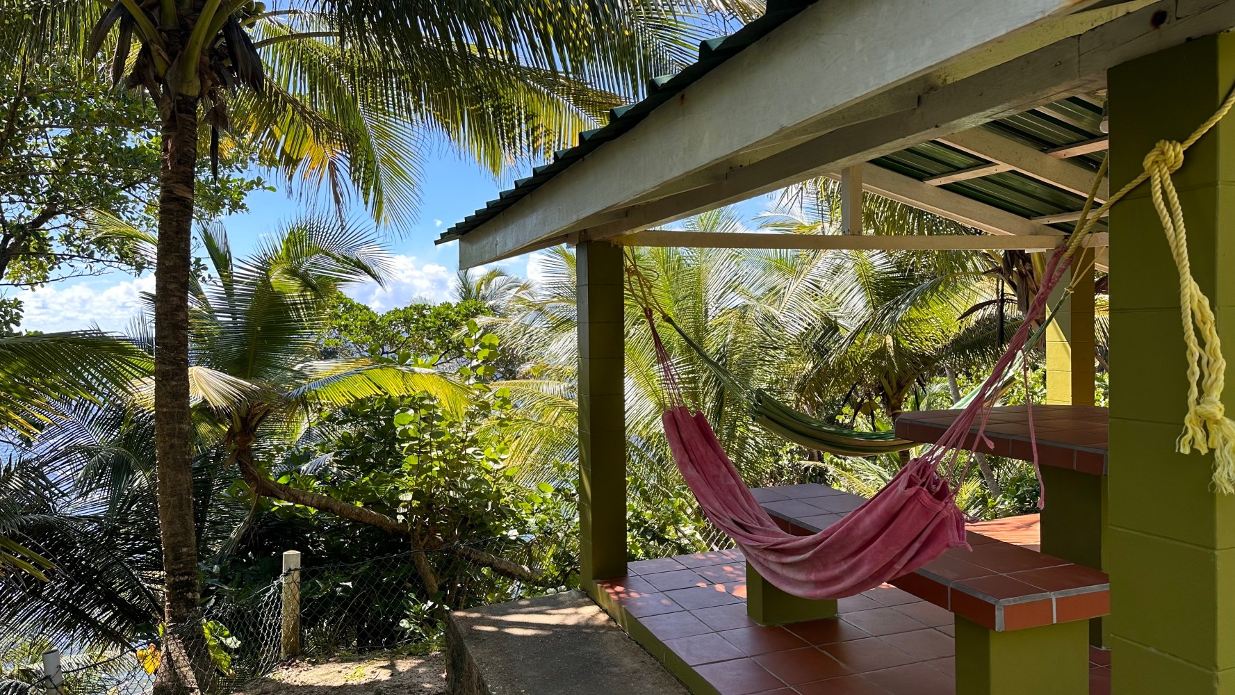 Tropical outdoor patio with hammock, palm trees, and ocean view.