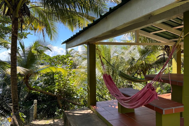 Tropical outdoor patio with hammock, palm trees, and ocean view.