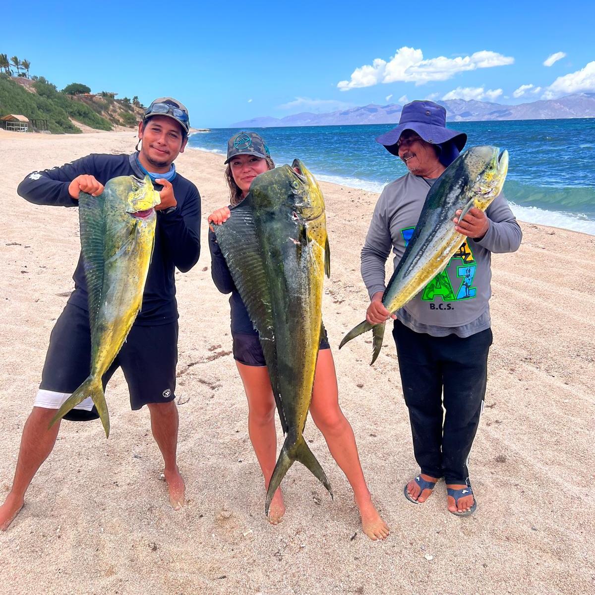 Three people on a beach holding large fish in sunny weather.