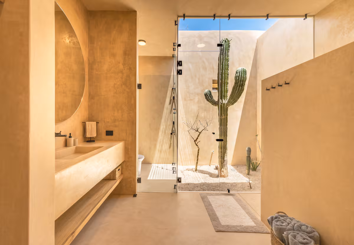 Modern bathroom with glass shower and outdoor cactus view.